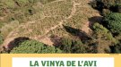 Vinyes singulars: la vinya de l'avi