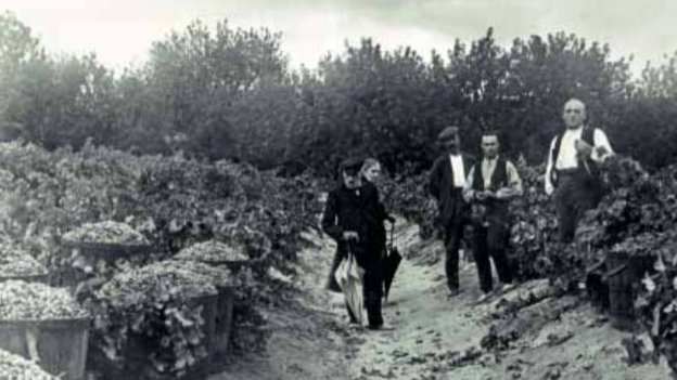 Clarets i botes del racó; el vi que es feia a casa fins no fa pas gaire anys