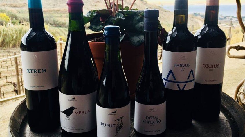 Aquest cap de setmana, tasteu vins negres d'Alta Alella