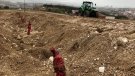En marxa la plantació de ceps de Bouquet d'Alella a la vall de Rials