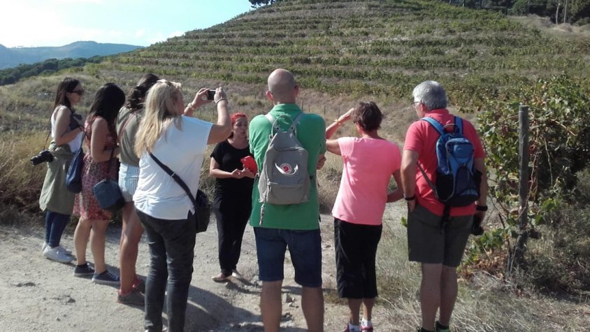 Gemma Becerra, responsable d'enoturisme d'Alella Vinícola, explica el terrer de la DO Alella a la Vall de Rials