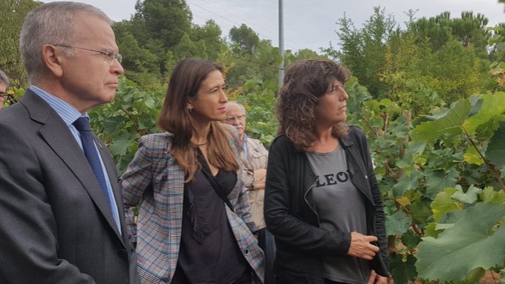 El rector de la Universitat de Barcelona (UB), Joan Elias, l’alcaldessa de Santa Coloma de Gramenet, Núria Parlon, i la consellera d’Agricultura, Ramaderia, Pesca i Alimentació de la Generalitat de Catalunya, Teresa Jordà, visitant la Vinya d’en Sabater.