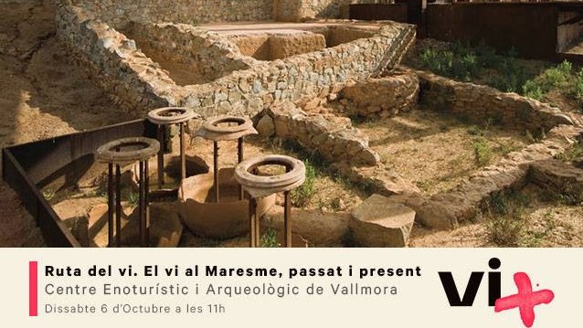 El Vi+ continua amb diferents propostes