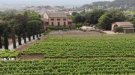 Can Roda, a vista d'ocell