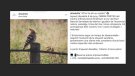 Alta Alella comença a rebre enoturistes aquest dissabte