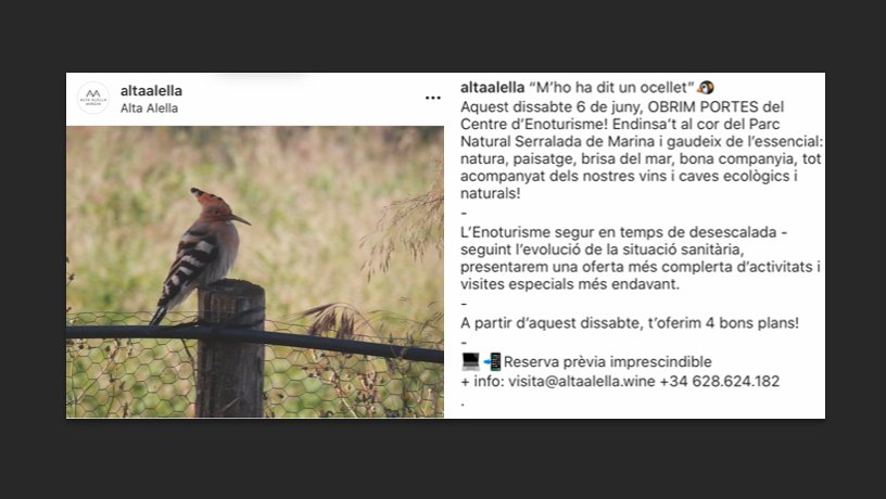 Alta Alella comença a rebre enoturistes aquest dissabte