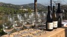 Testuan reprèn les visites a la vinya amb èxit absolut