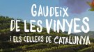 `Gaudeix de l’enoturisme amb els cinc sentits´, la campanya de l'Incavi per promoure el turisme del vi a Catalunya	