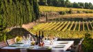 Vins i caves en estat pur