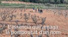 Els tasts de Papers de vi (30)