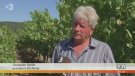 L'ampliació de la DO Alella, a TV3