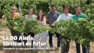 Ja està disponible en línia el Papers de vi 54, l'especial Verema