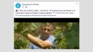 Vegeu els vídeos que l'Ajuntament d'Alella ha publicat per homenatjar cellers i públic de la Festa de la Verema