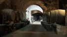 Organitzen una visita guiada al Monestir de Sant Jeroni de la Murtra