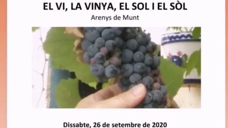 Aquest dissabte, passejada per les vinyes del celler Talcomraja