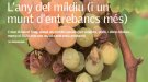 L'any del míldiu... i els senglars