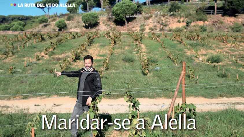 La Ruta del Vi d’Alella ens porta a conèixer el projecte enoturístic d’Alella Vinícola a Can Jonc, a dinar a Can Duran i a sopar al Celler Jordana