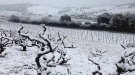 Recordeu la nevada de fa vuit anys?