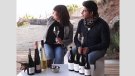 Vegeu la story d'Instagram que ha fet Enoturista sobre Alta Alella
