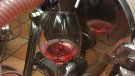 Bouquet d'Alella anuncia la propera sortida al mercat d'un vi rosat