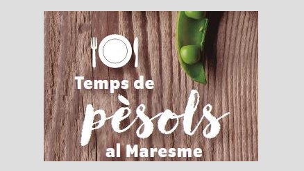 El temps de pèsols arriba ben aviat al Maresme
