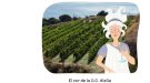 Coneix la DO Alella amb 