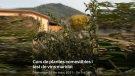 Can Roda organitza un altre taller de plantes comestibles amb Evarist March