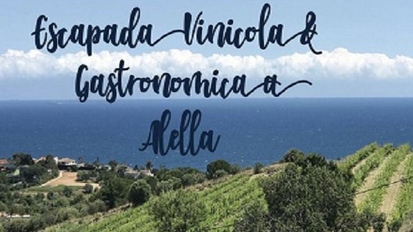 Alella Wine Tours proposa: regala enoturisme