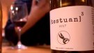 Enoturista.cat publica el vídeo de presentació de la versió online de la Guia de Vins de Catalunya