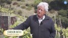 Quim Batlle al programa 'De sol a sol' de la Xarxa de Televisions Locals