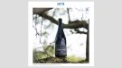 Bouquet d'Alella, a un article del diari ara sobre microvinificacions