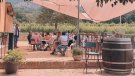 Enorme èxit dels wine bars dels cellers de la DO Alella