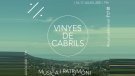 El festival Musicab porta la música en directe a les vinyes de Testuan