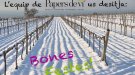 L'equip de Papers de vi us desitja unes bones Festes
