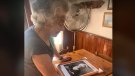 Escuracassoles, el recorregut enogastronòmic del Masnou