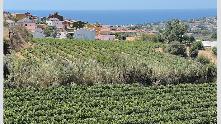 Gaudeix d’un estiu de luxe al Maresme