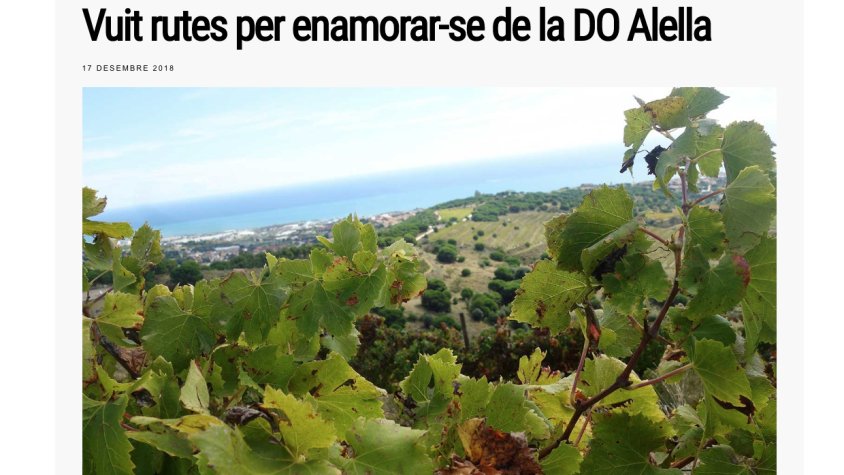 Acomiadem l'any amb les 8 rutes que proposa enoturista.cat per conèixer la DO Alella