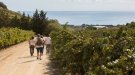 El turisme de proximitat s’imposa al Maresme durant el mes de juny