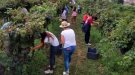 Aquest diumenge teniu una cita amb Bouquet d'Alella per fer-hi un esmorzar de forquilla