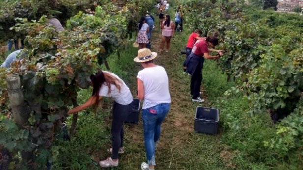 Aquest diumenge teniu una cita amb Bouquet d'Alella per fer-hi un esmorzar de forquilla