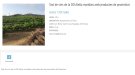Aquesta tarda, al Vi+, tast de vins de la DO Alella maridats amb productes de proximitat