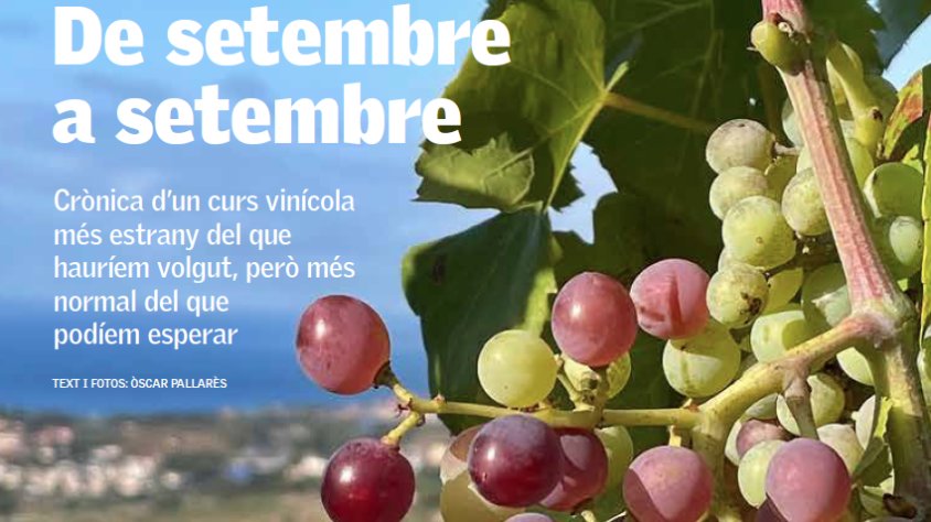 De setembre a setembre: resum del curs vinícola passat