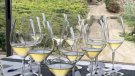 L’avantguarda ultralocal del cava Alta Alella 10 Gran Reserva