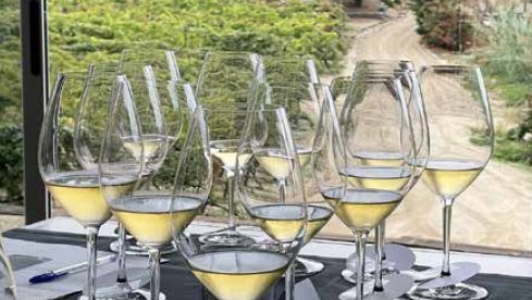 L’avantguarda ultralocal del cava Alta Alella 10 Gran Reserva