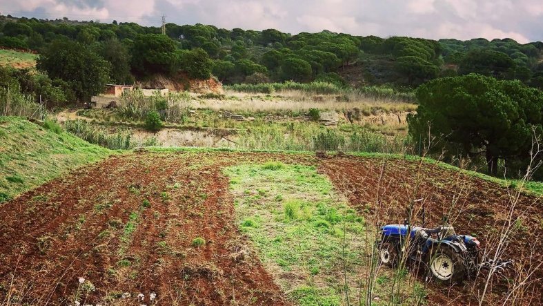Mario Rovira prepara la finca de l'Alegria per plantar-hi nova vinya