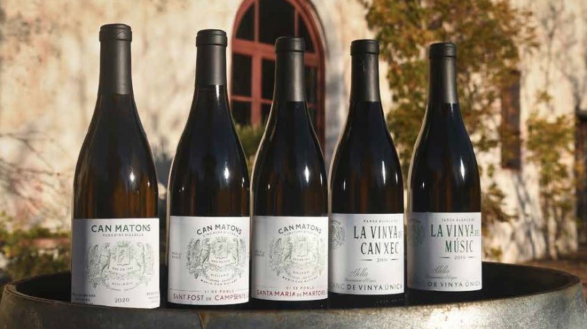 Can Matons, el nou projecte de Raventós Codorníu a la DO Alella