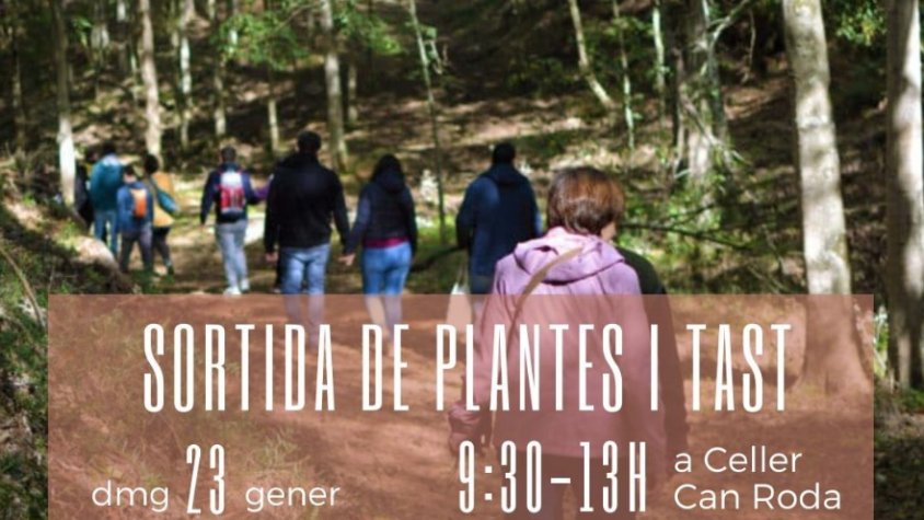 Can Roda programa una passejada sobre plantes comestibles amb Evarist March