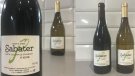 Enllestida la segona anyada del vi de la vinya d'en Sabater