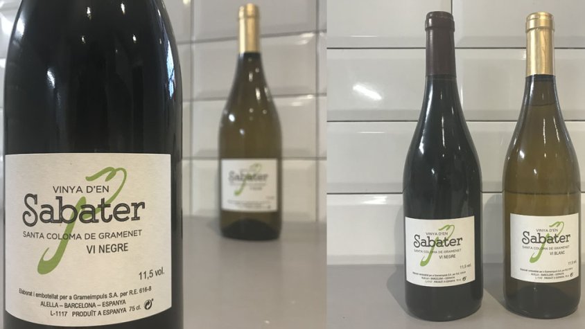 Enllestida la segona anyada del vi de la vinya d'en Sabater