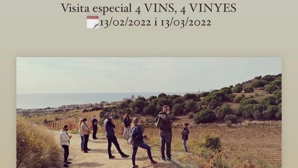 Alta Alella torna a programar la visita "4 vins, 4 vinyes"
